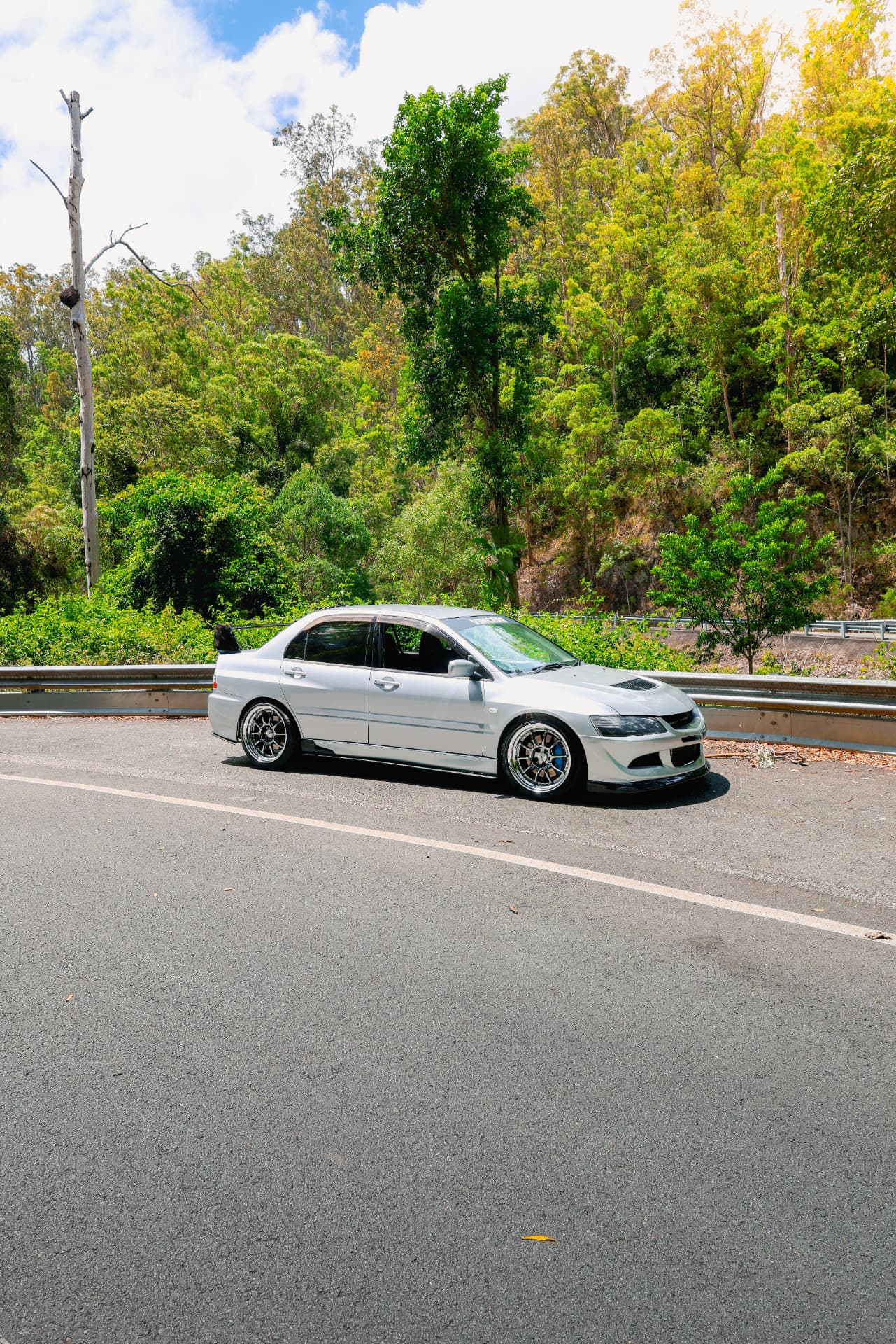 Silver Evo side profile against dense bushland