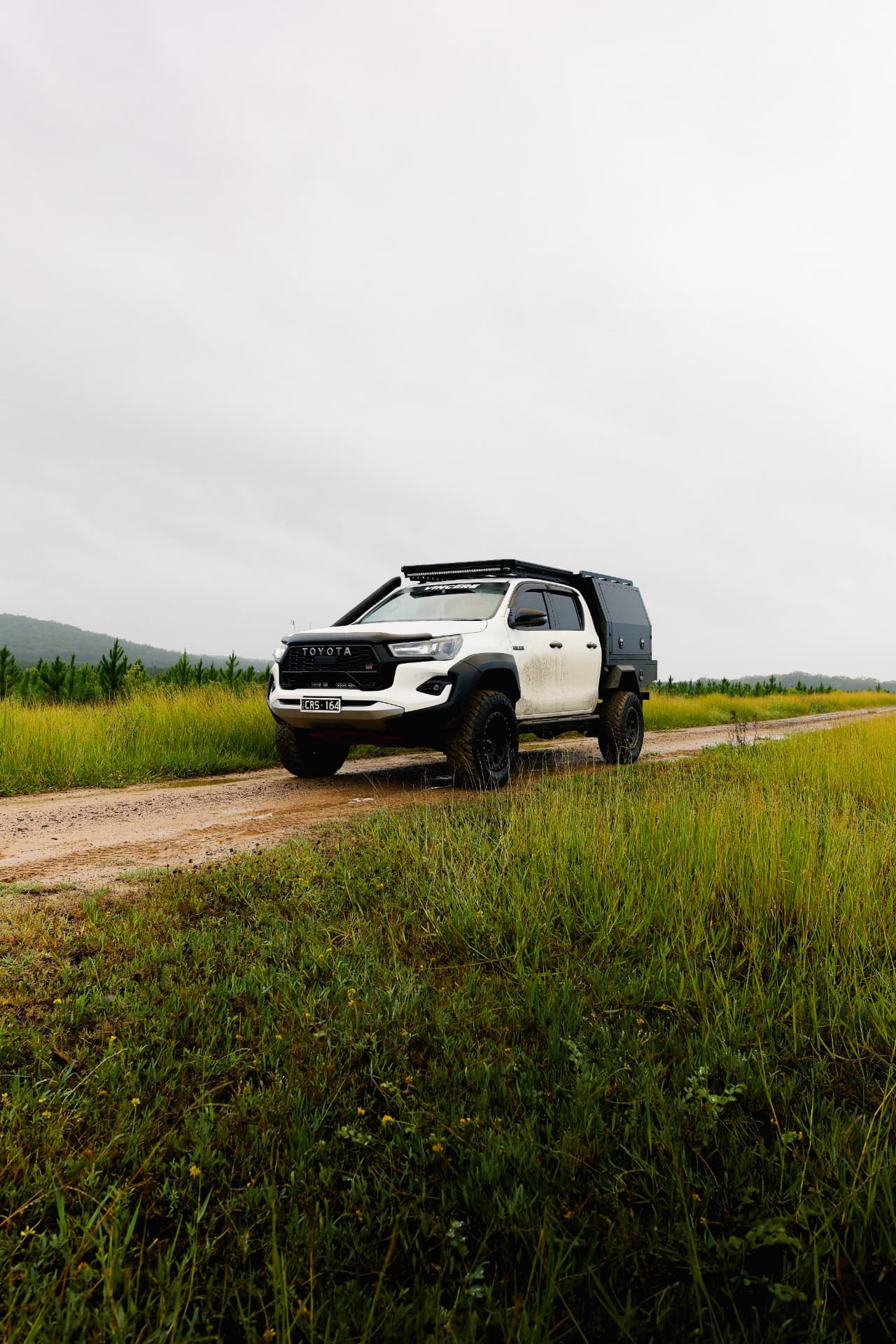 Toyota HiLux front three-quarter beside long grass