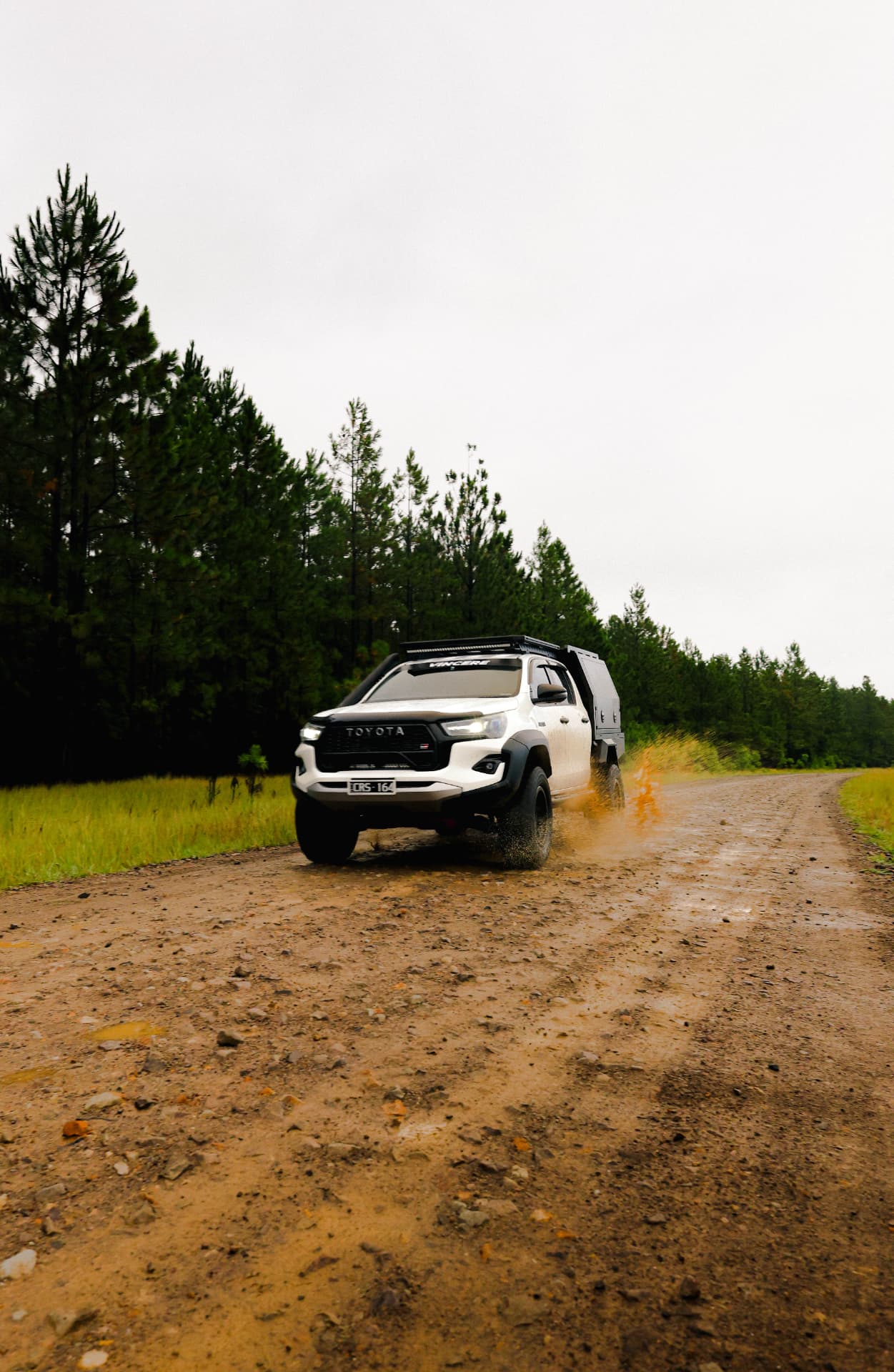 HiLux throwing mud along a pine forest road