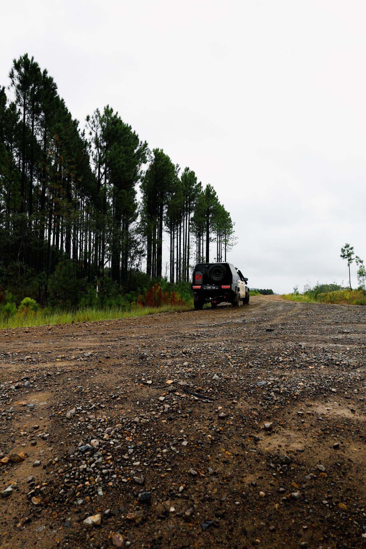 HiLux climbing a gravel road beside tall pines