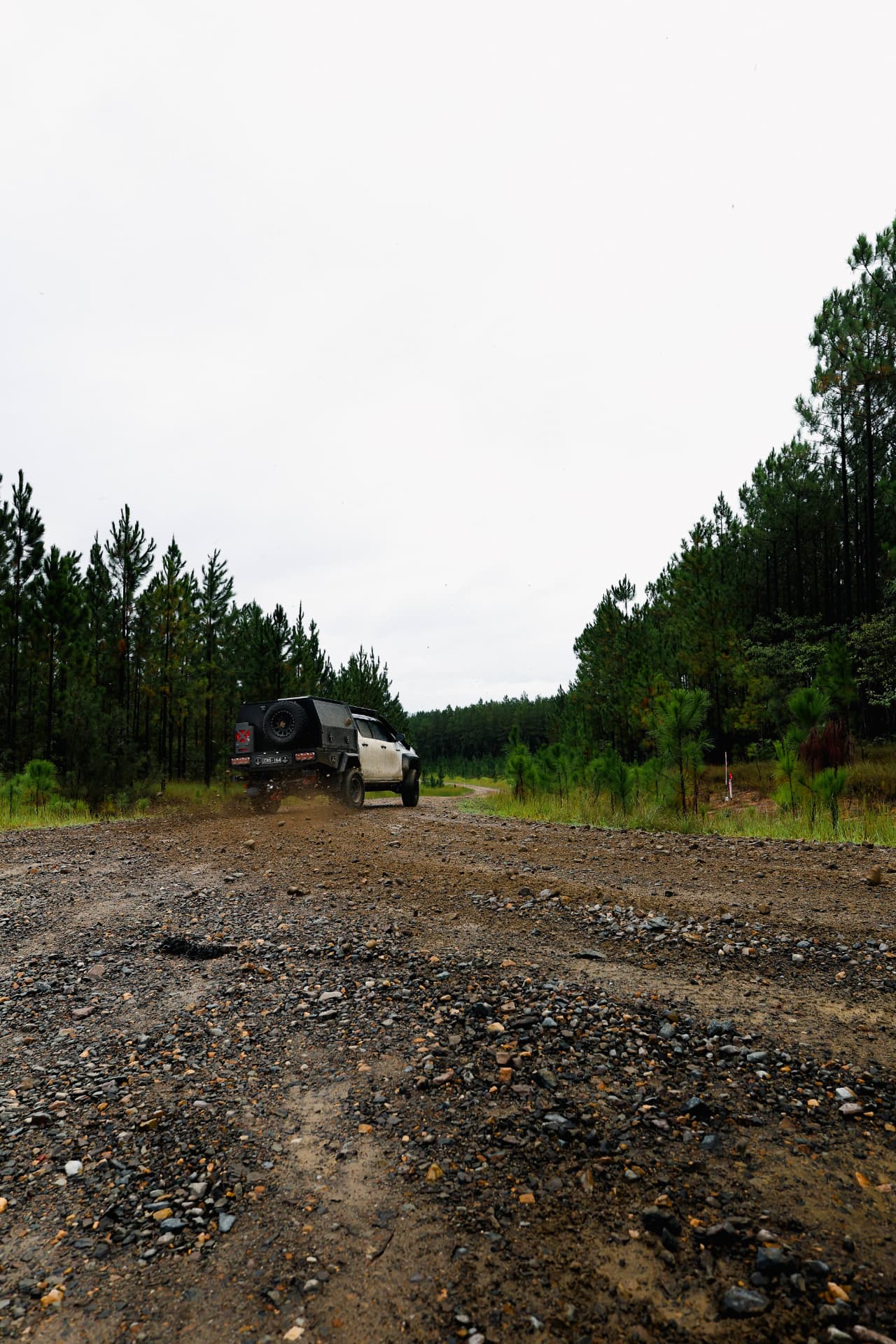 HiLux accelerating away through pine plantation