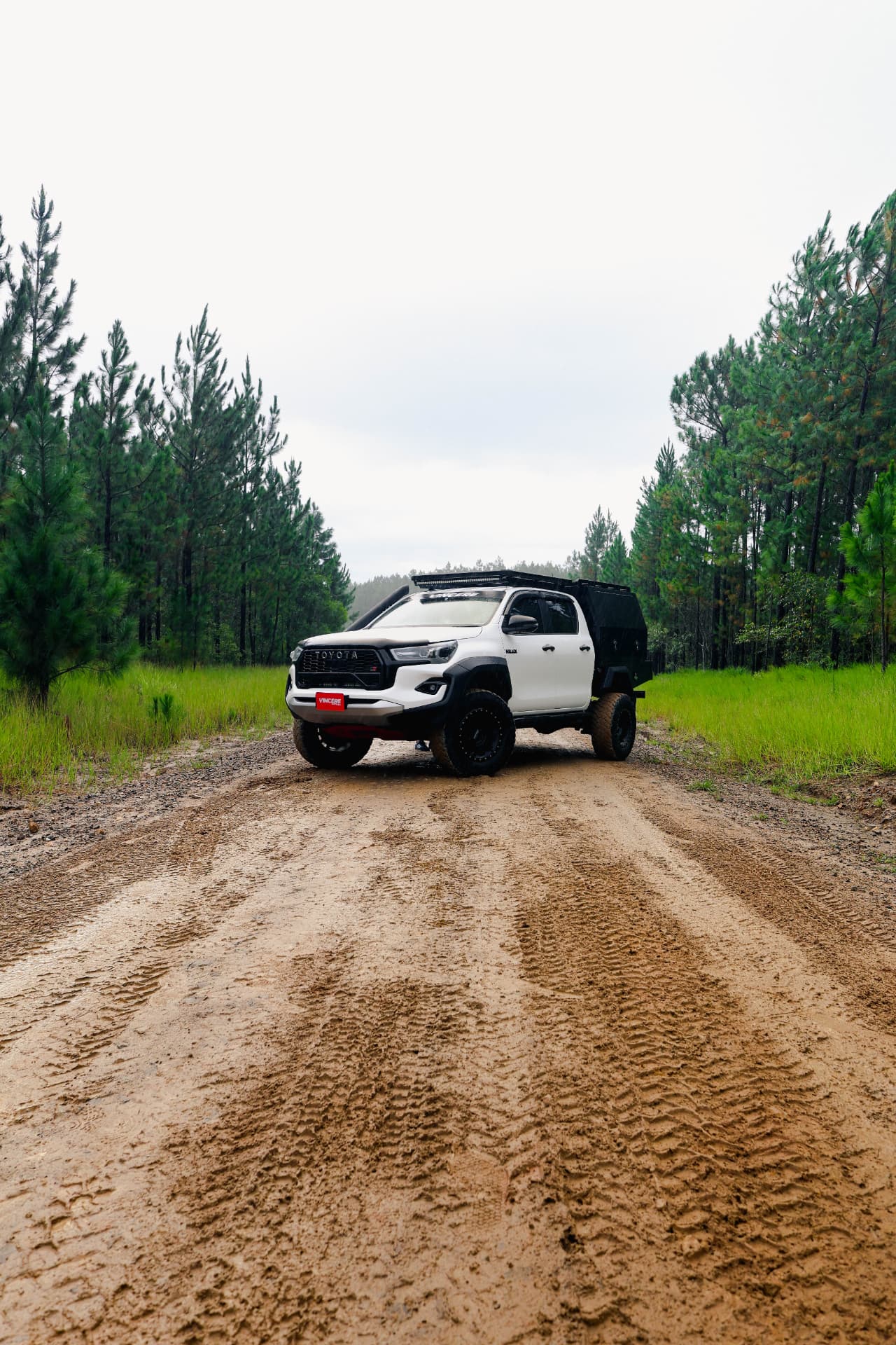 HiLux centred on a wet dirt road between pines
