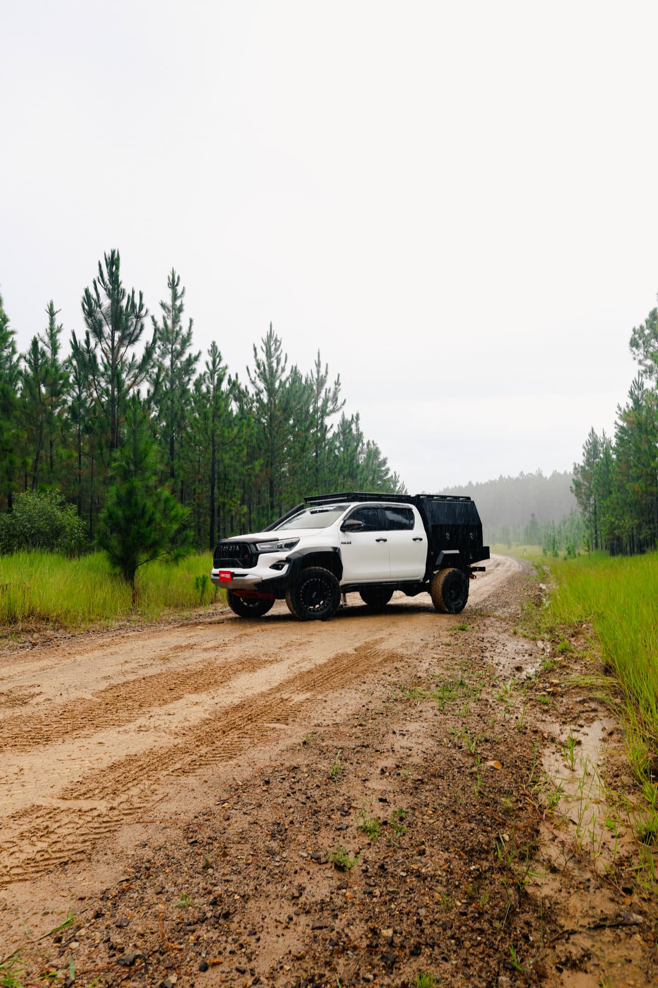 HiLux in falling rain on a forestry track