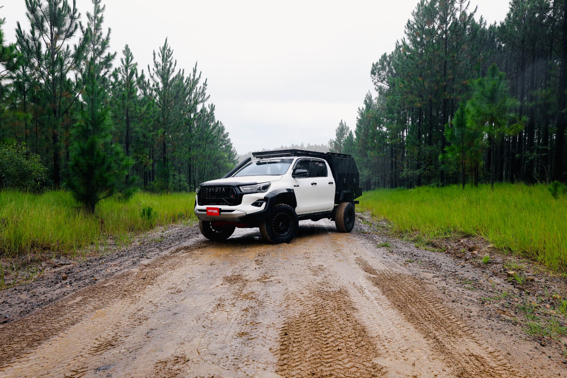 HiLux on a rain-soaked road through pine plantation